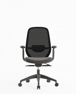 BUDI 001