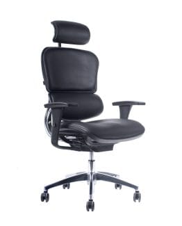 Reposabrazos 4D ajustables Ergohuman Elite