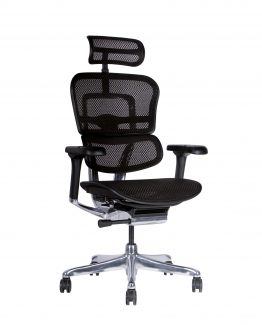 Ergohuman malla 002